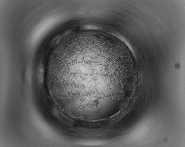 X0000100491151200806201647