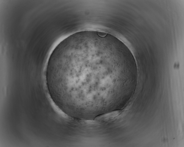X0000100491152200806201647