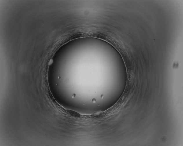 X0000100491153200806201646