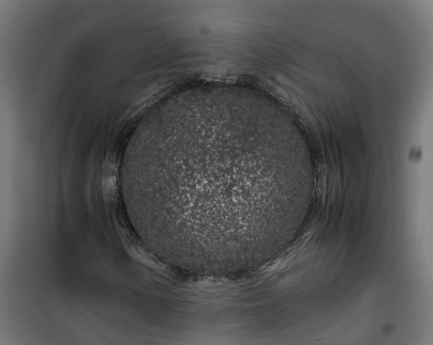 X0000100491154200806201646