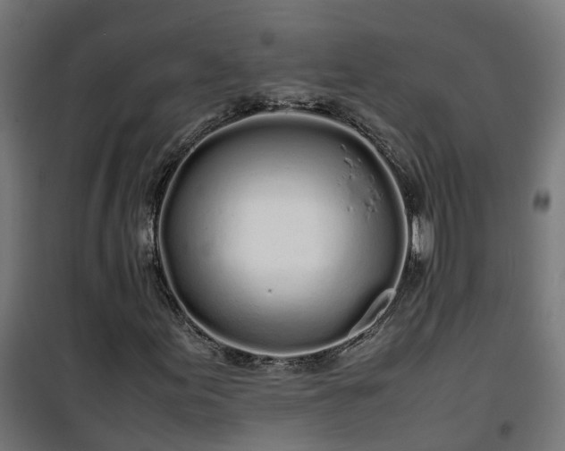 X0000100491155200806201646