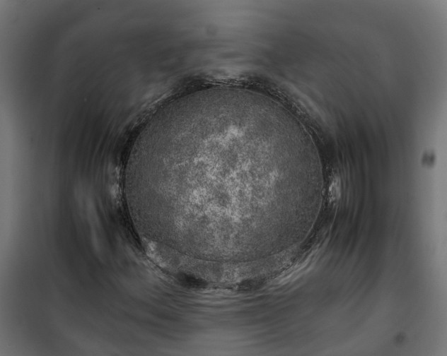 X0000100491156200806201646