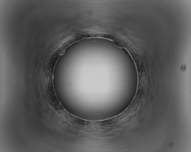 X0000100491157200806201646