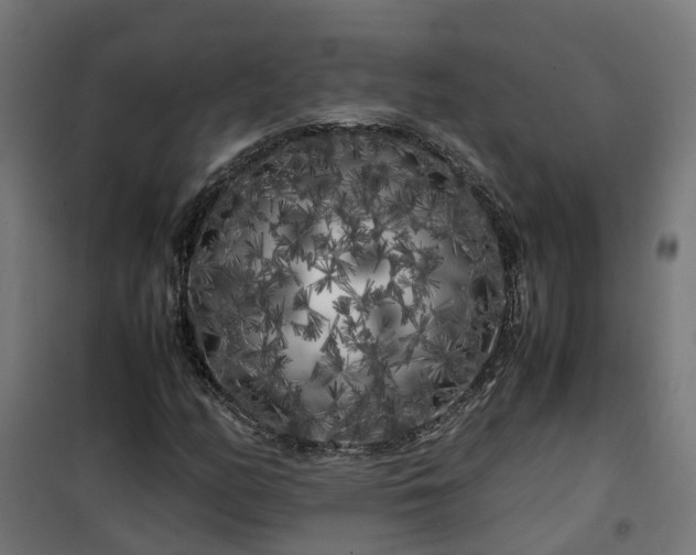 X0000100491158200806201646