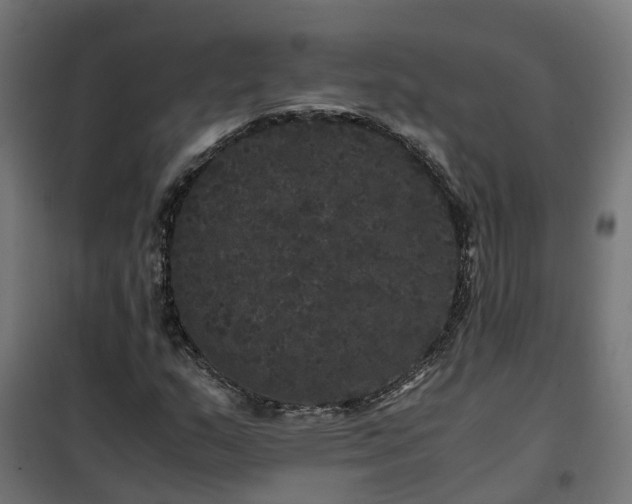 X0000100491159200806201646