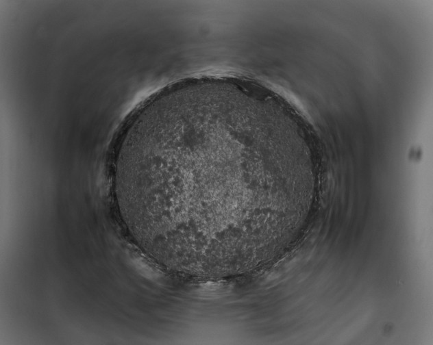 X0000100491160200806201646