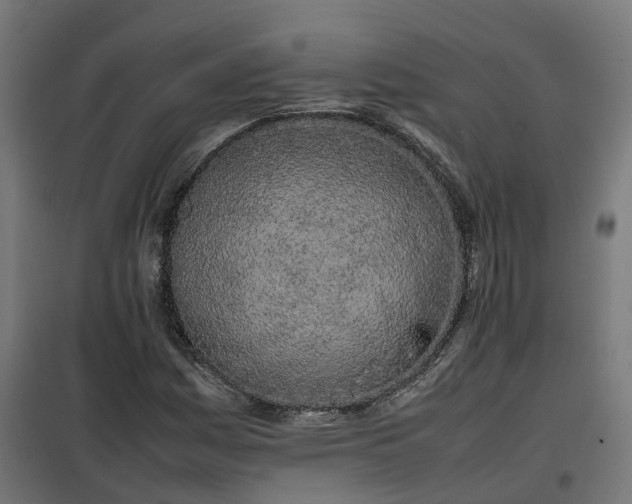 X0000100491161200806201646