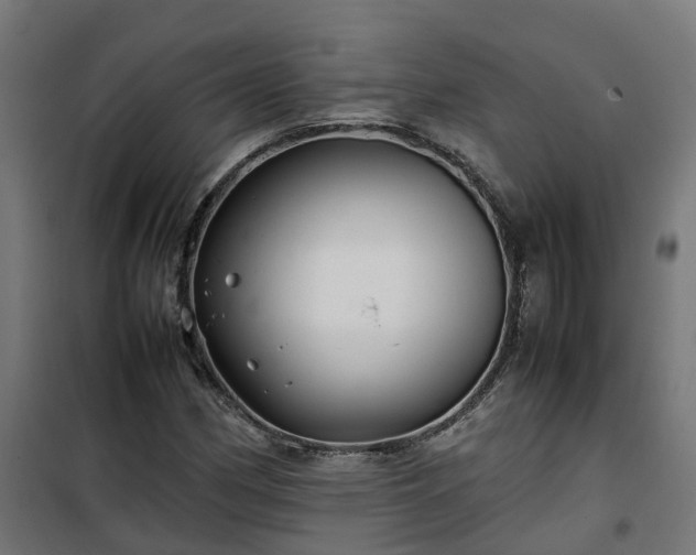 X0000100491162200806201646