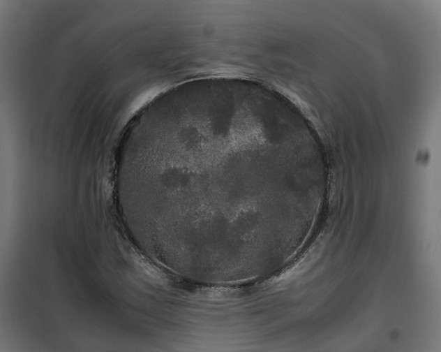 X0000100491163200806201646