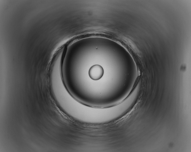 X0000100491164200806201646