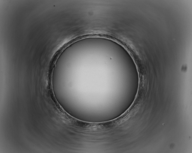 X0000100491165200806201646