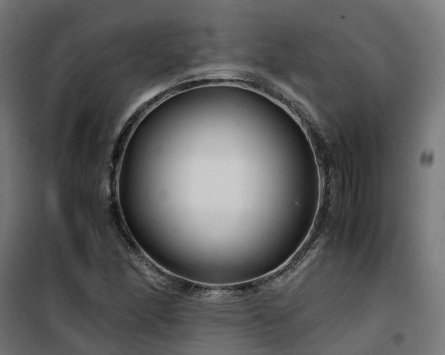 X0000100491166200806201646