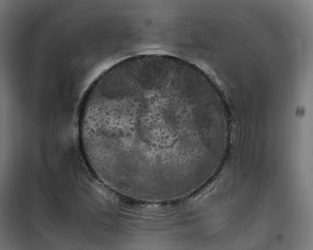 X0000100491167200806201646