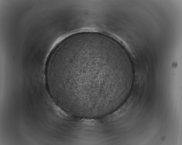 X0000100491168200806201646