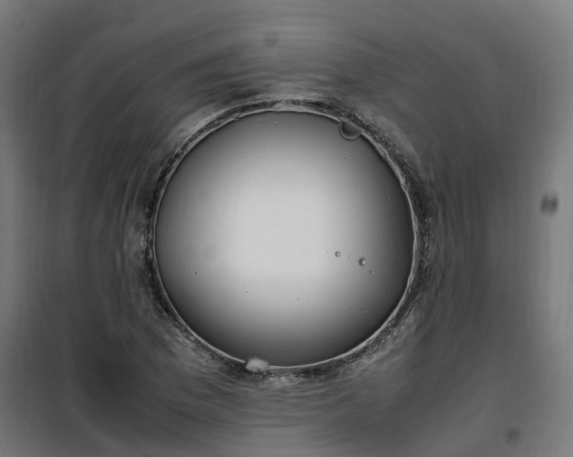 X0000100491169200806201646