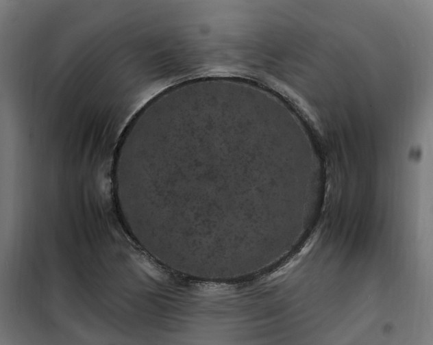 X0000100491170200806201646