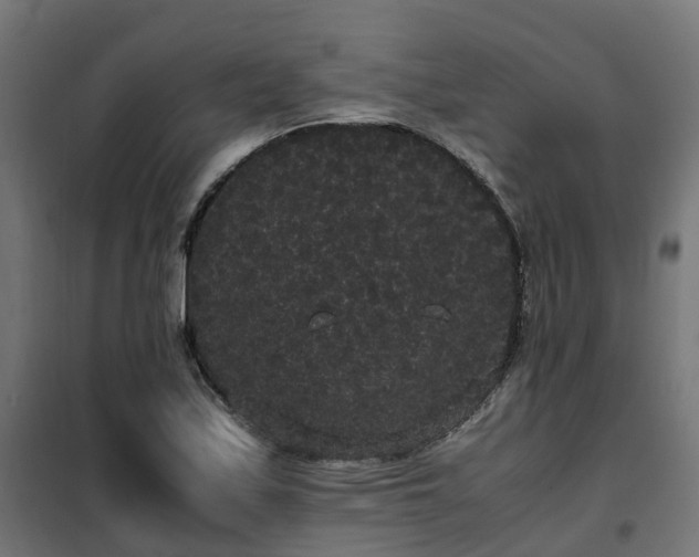 X0000100491171200806201646