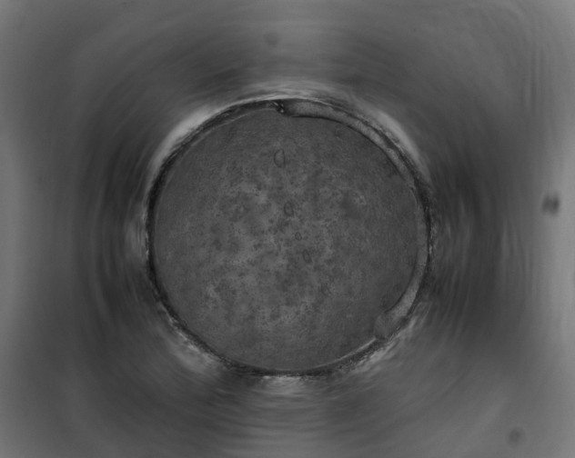 X0000100491172200806201646