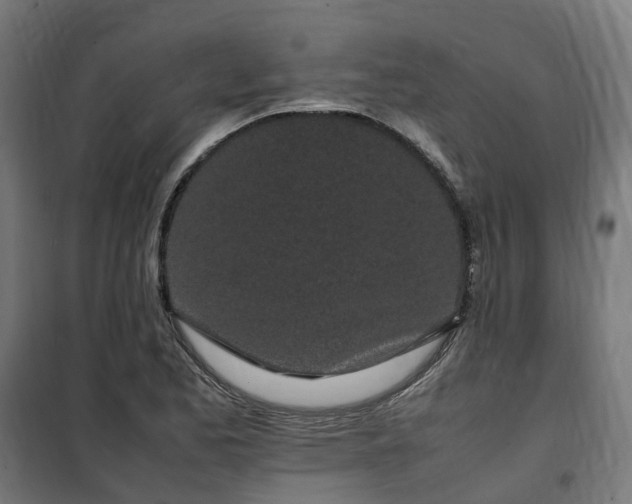 X0000100491173200806201646