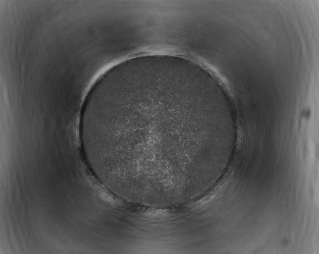 X0000100491174200806201646