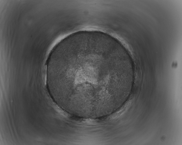 X0000100491175200806201646