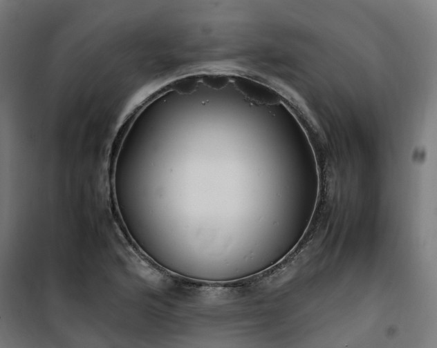 X0000100491176200806201646
