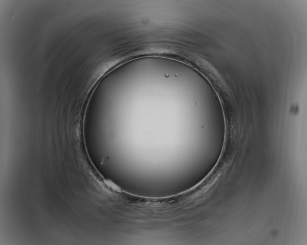 X0000100491177200806201646