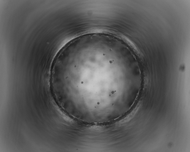 X0000100491178200806201646
