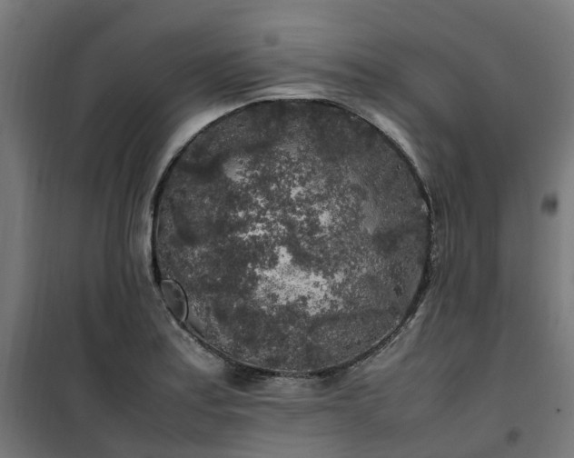 X0000100491179200806201646