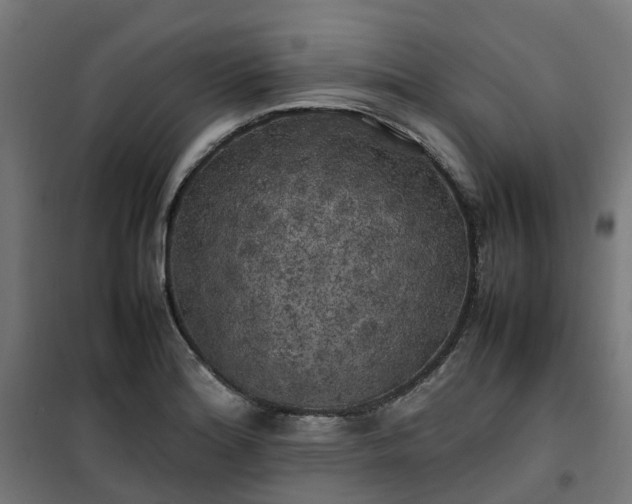 X0000100491180200806201646
