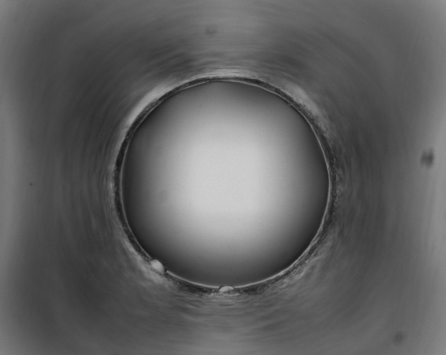 X0000100491181200806201646