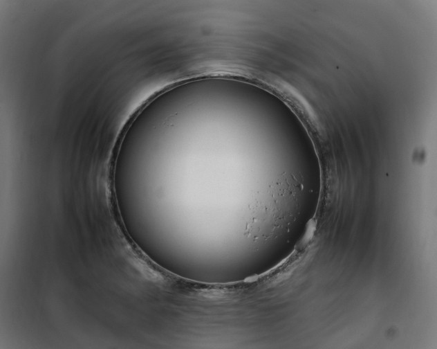 X0000100491182200806201646