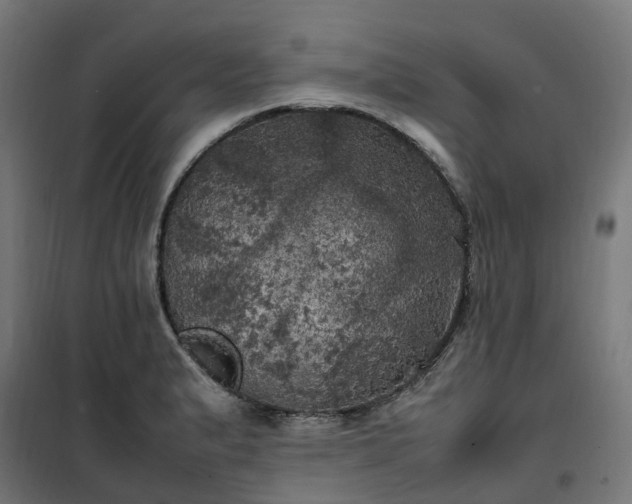 X0000100491183200806201646