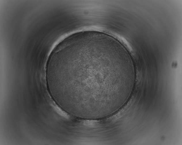 X0000100491184200806201646