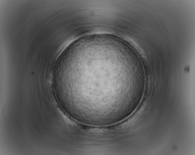 X0000100491185200806201646