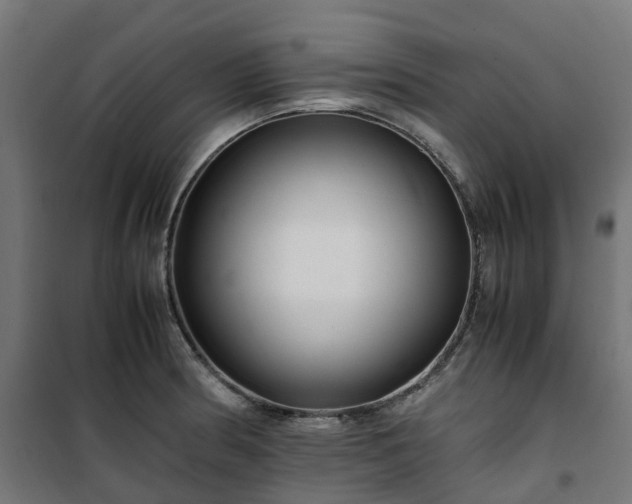 X0000100491186200806201646