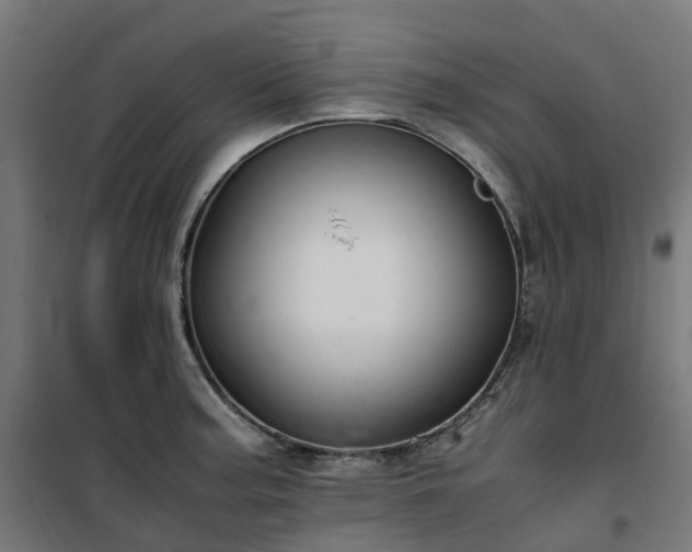 X0000100491187200806201646