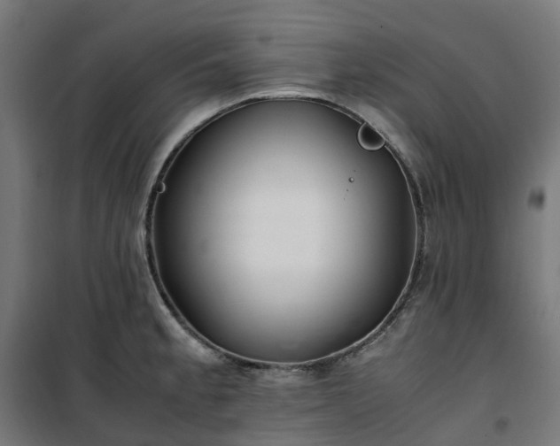 X0000100491189200806201646