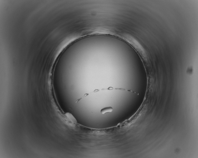 X0000100491190200806201646