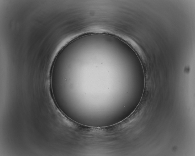 X0000100491191200806201646