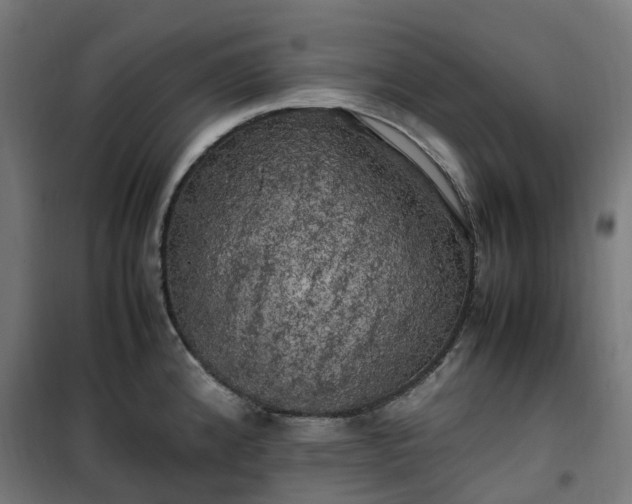 X0000100491192200806201646