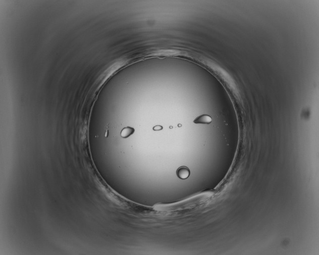 X0000100491193200806201646
