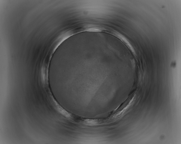 X0000100491194200806201646