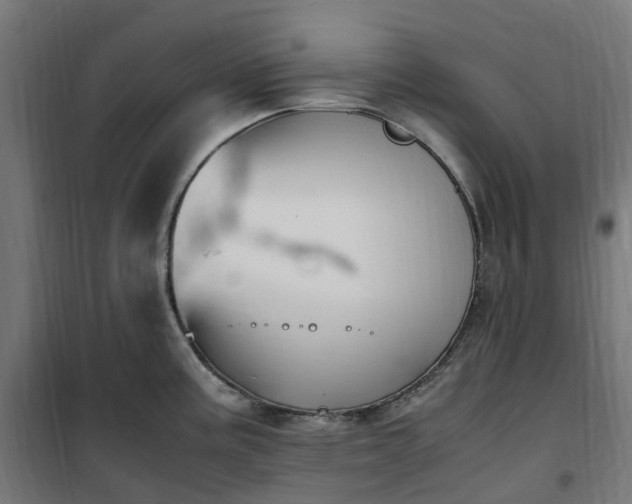 X0000100491195200806201646