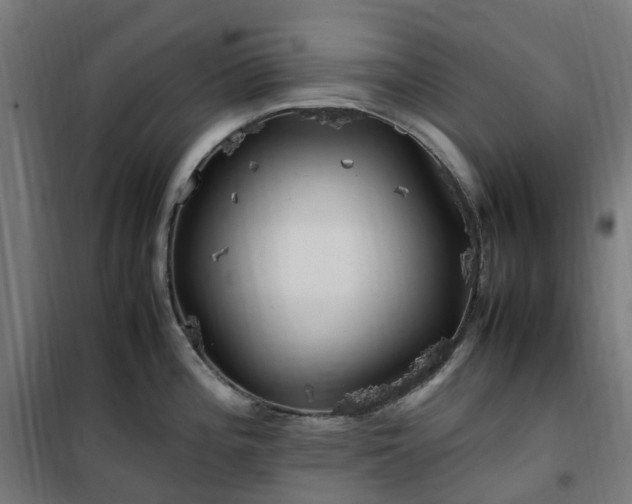 X0000100491196200806201646