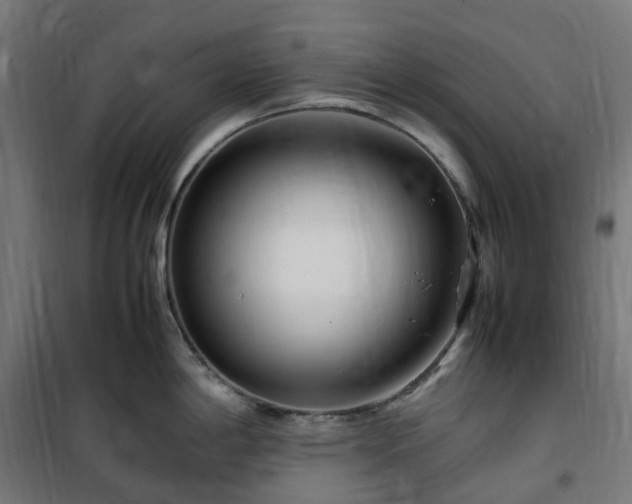 X0000100491198200806201646
