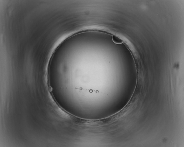 X0000100491199200806201646
