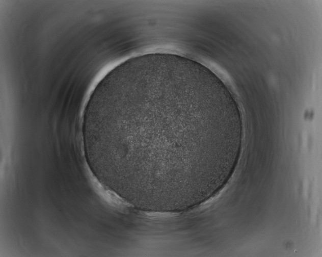 X0000100491200200806201646