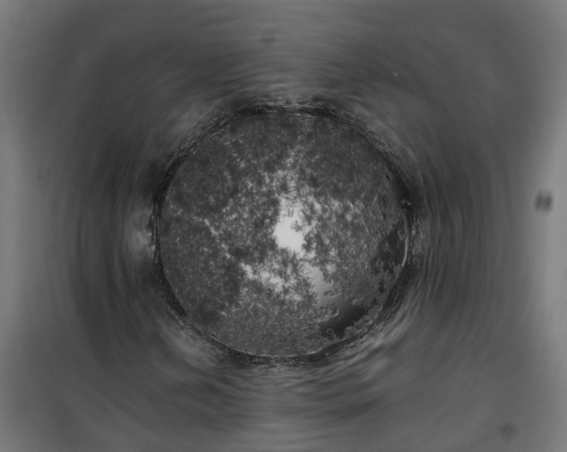 X0000100491202200806201645