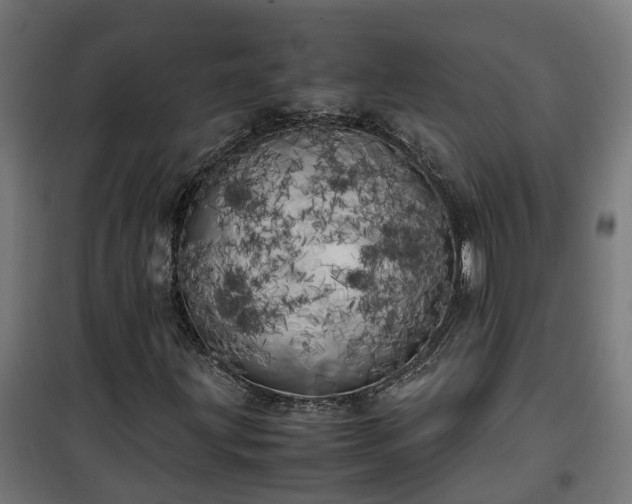 X0000100491203200806201645